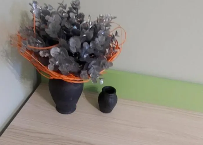 Pod Gorcami בקתה